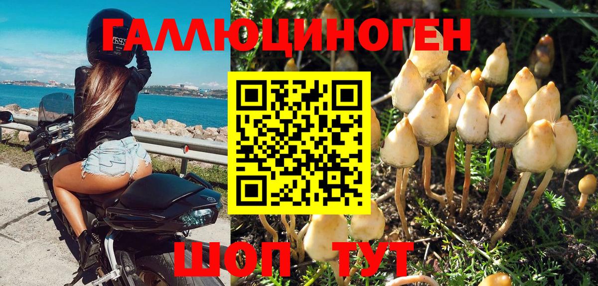 Псилоцибиновые грибы ЛСД  Галлюциногенные грибы Psilocybe  Владикавказ  Вход с VPN 